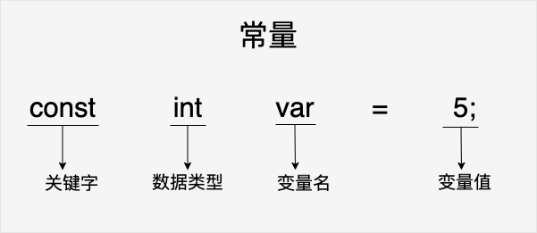 【计算机二级考试C语言】C常量