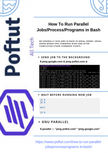 How To Run Parallel Jobs/Process/Programs in Bash Infographic