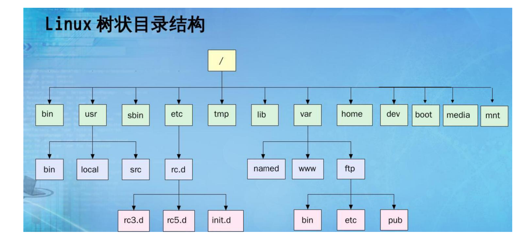 树的基本概念和结构