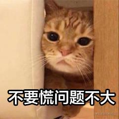 1C306E8E.jpg