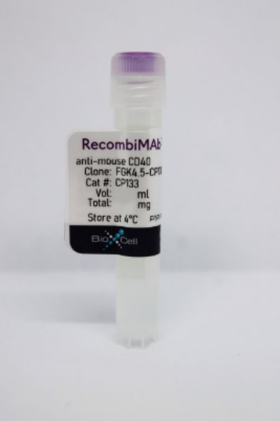 RecombiMAb anti-mouse CD40，FGK4.5-CP133单克隆抗体