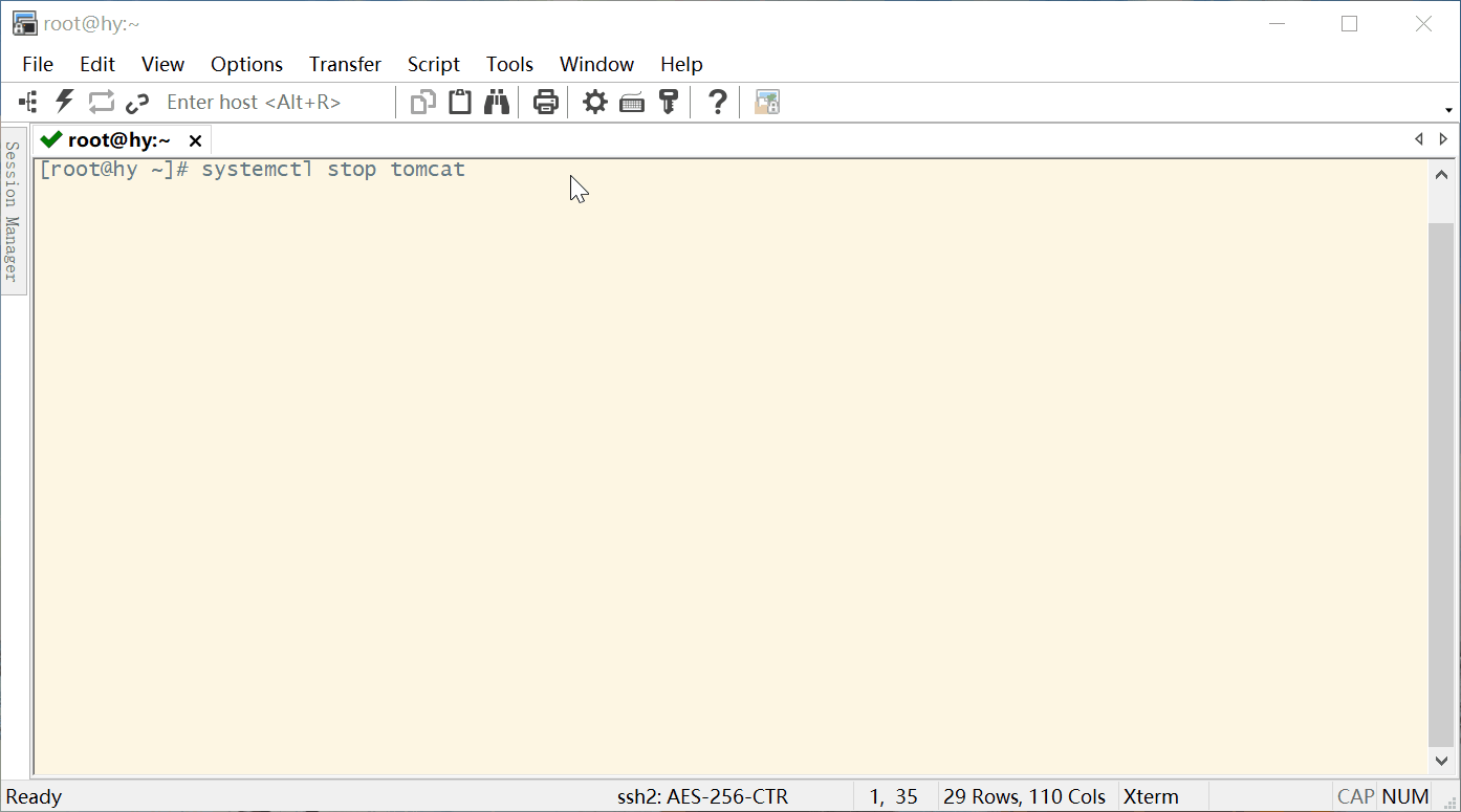 Linux tomcat Linux Tomcat8 CSDN 