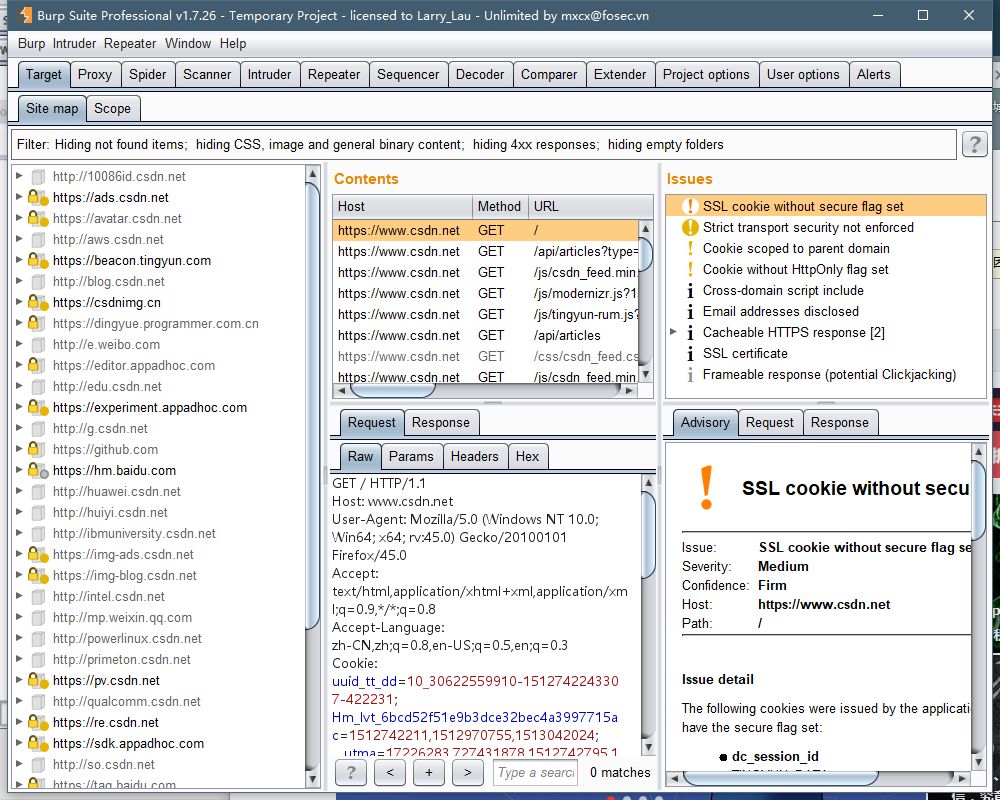 Web 安全工具篇：Burp Suite 使用指南