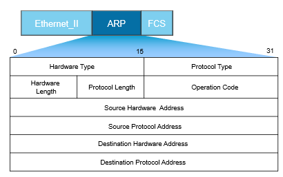 ARP报文.png