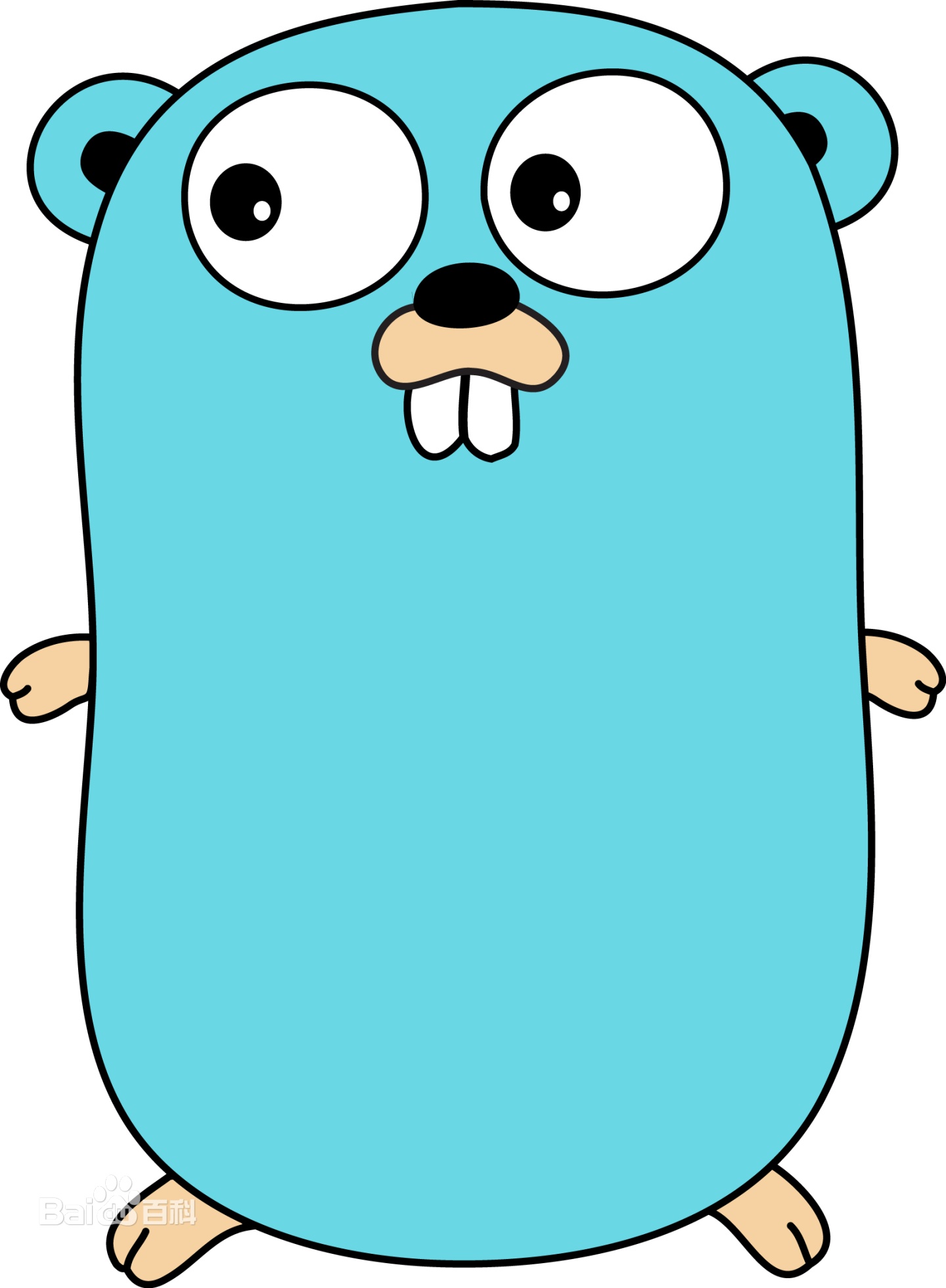 golang-golang-csdn