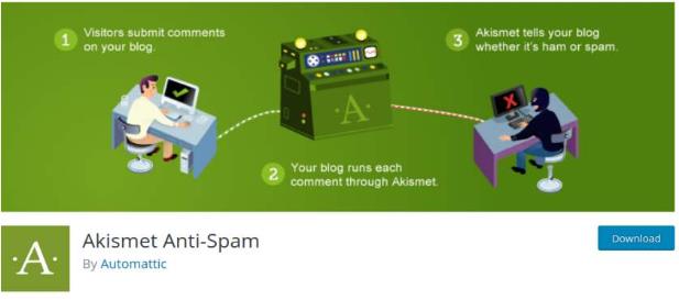 Akismet Anti-Spam