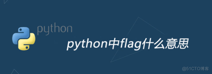 计算程序中flag是什么意思，python中flag什么意思_python中flag什么意思