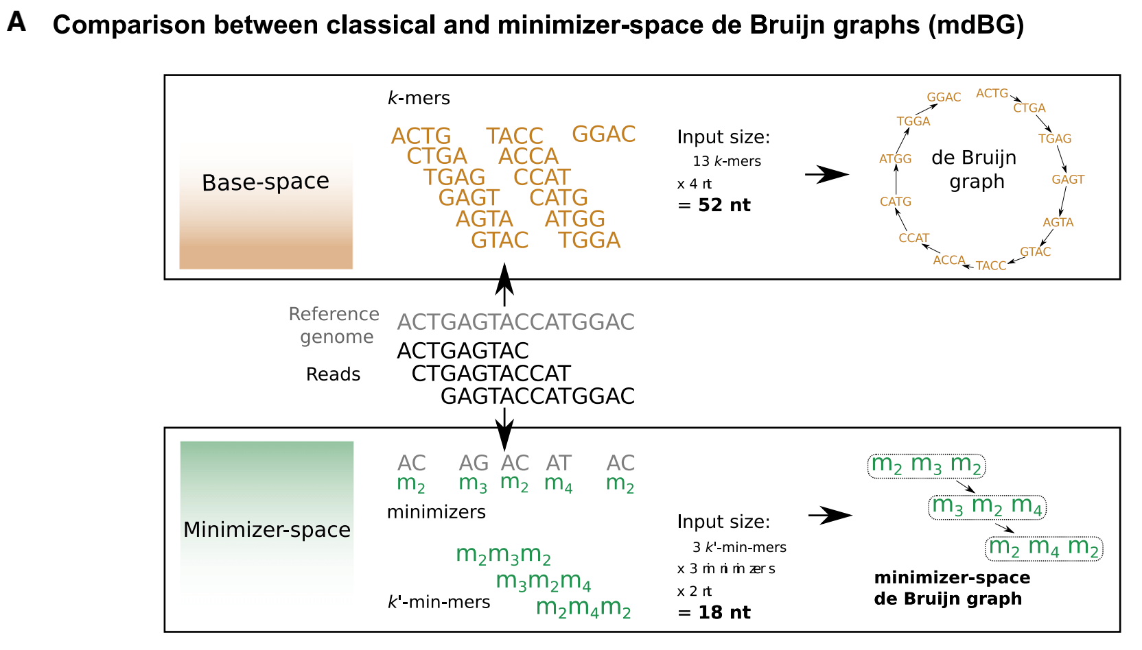 Fig 1 A