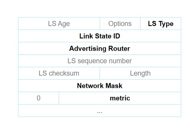 Network Summary LSA