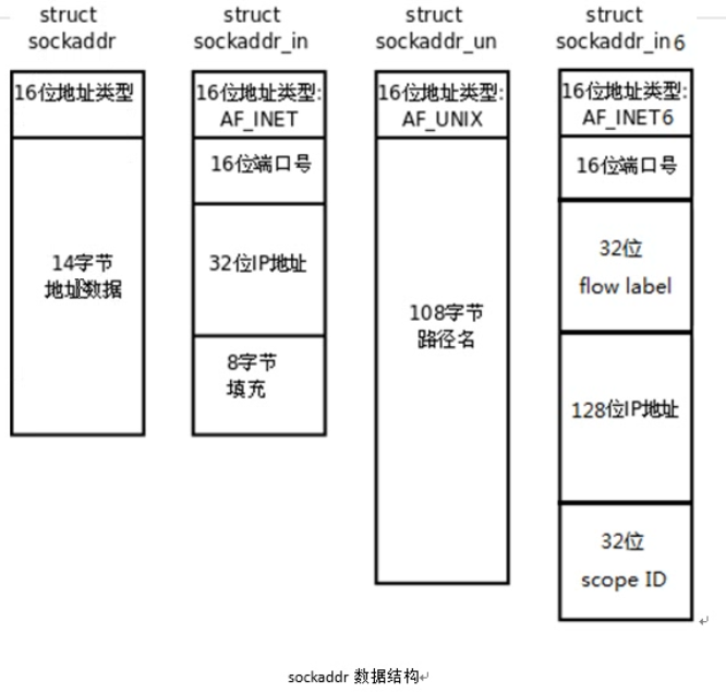 sockaddr数据结构