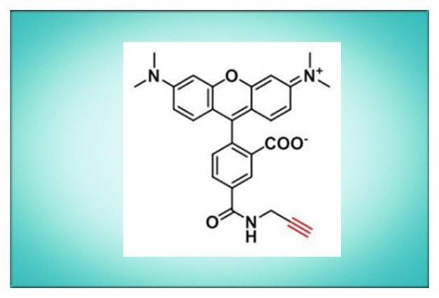 一种化学荧光探针945928-17-6，TAMRA alkyne,5-isomer，四甲基罗丹明-炔基