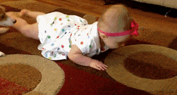 a0bd455d3e825821af9631260f7f295c.gif