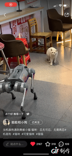 a0c9a0ce0da135544c30c2e5ea4e5d97.gif