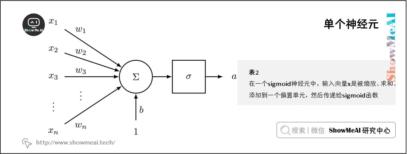 單個神經元