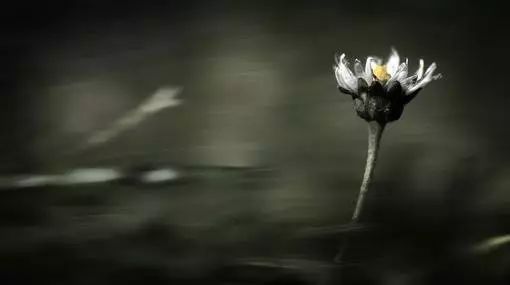 a0edd2a037995edcdce5215126d59bf9.jpeg