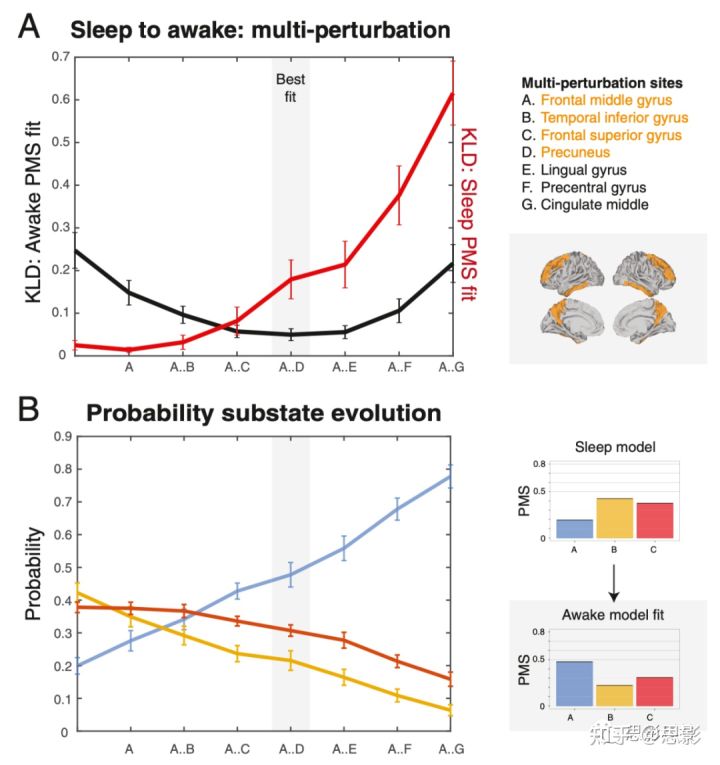 PNAS：复杂系统方法定义脑状态：外部刺激促使不同大脑状态之间的转换