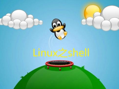 Linux Shell 算术运算 Shell 算术运算符 丁丁小运的博客 Csdn博客
