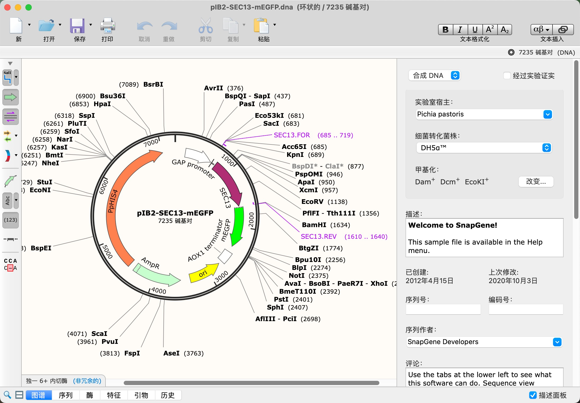 SnapGene：解码生命之链的强大工具 mac/win版