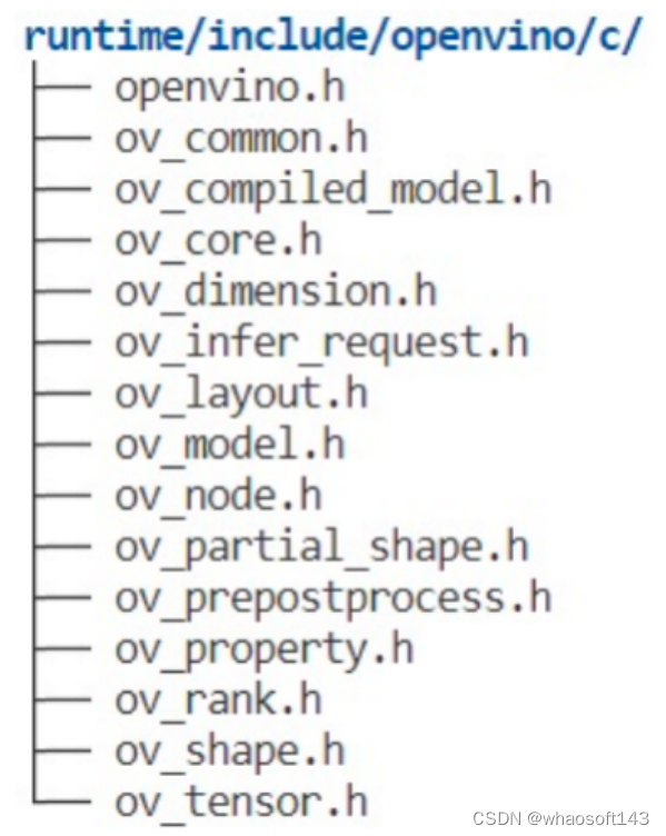 OpenVINO ~C API 2.0_人工智能_03