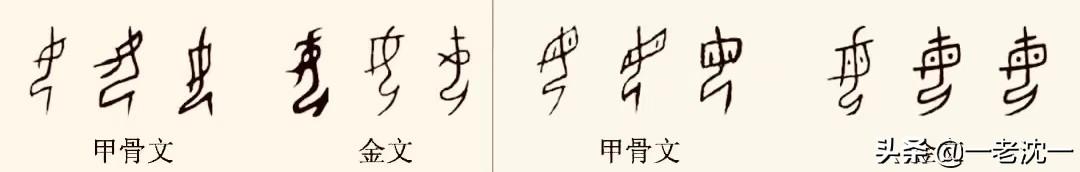 谈一下“男”字“，女”字，怎样解析？_甲骨文中如何表示男子的形象-CSDN博客
