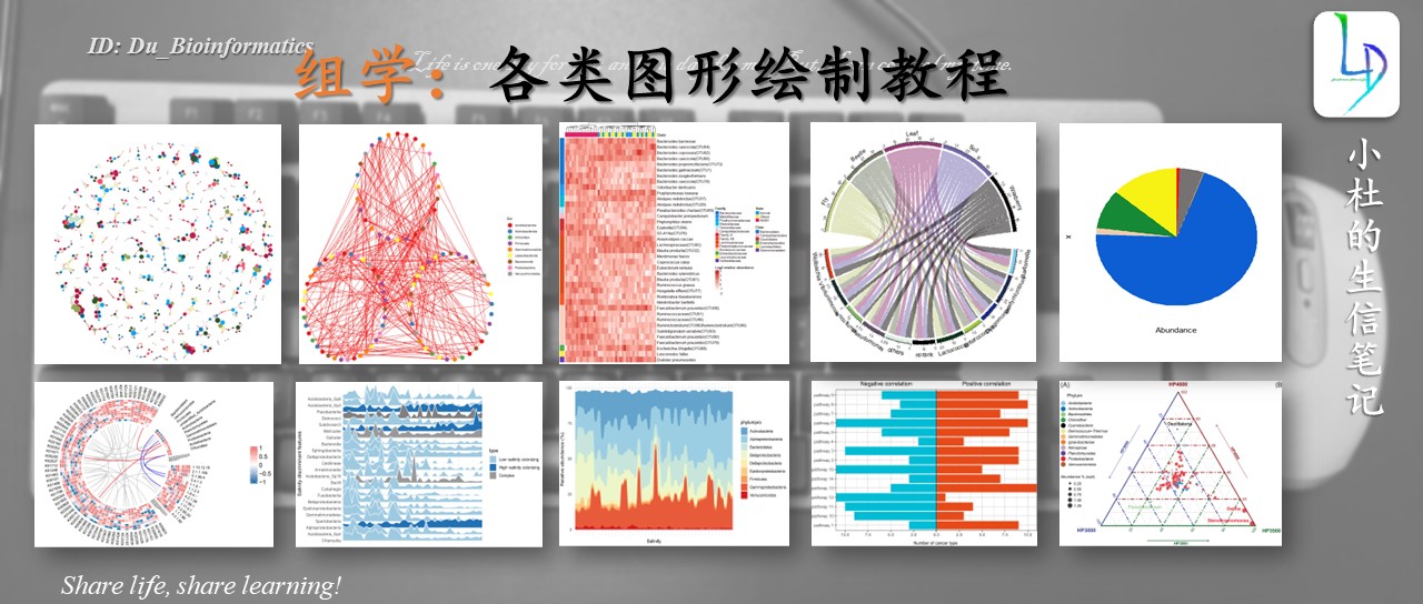 <span style='color:red;'>R</span><span style='color:red;'>语言</span> | 组学各类图形绘制<span style='color:red;'>资源</span>