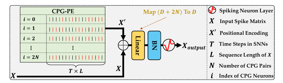 图4：CPG-PE 在 SNN 中的应用。X、X′ 和 Xoutput 是脉冲矩阵。