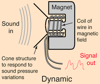 fig1_dyn_mic