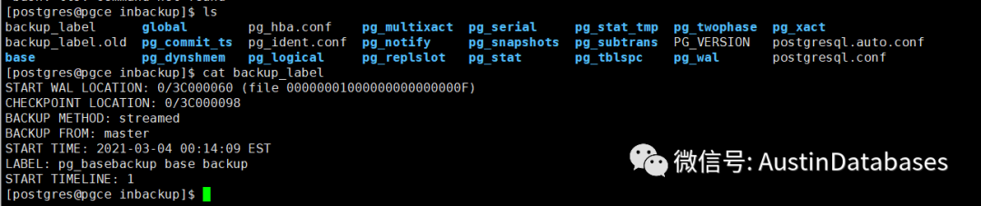 POSTGRESQL V12 PG_BASEBACKUP 进行PITR恢数据与PITR 原理-CSDN博客