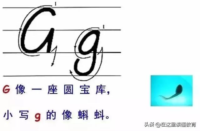 a1ce9b526c755128668ed15ed08d729b.png