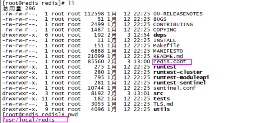 Liunx环境下Redis6.0.10安装