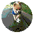 a2389962e9f4c15b12414c146ebd0400.gif