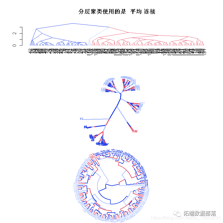 R语言k-means聚类、层次聚类、主成分（PCA）降维及可视化分析鸢尾花iris数据_数据_17