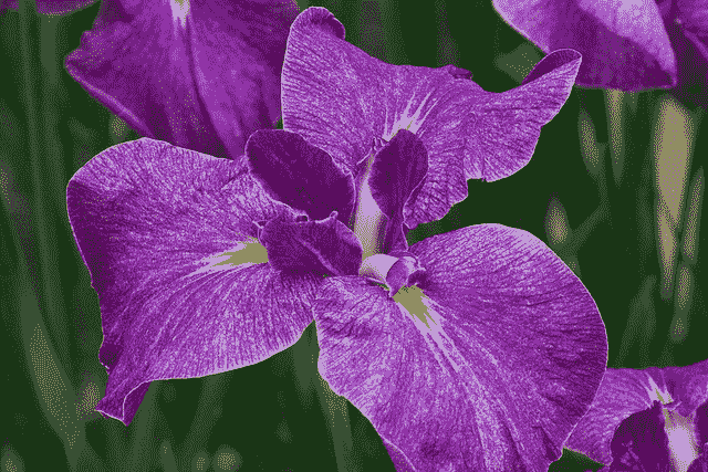 Multi-Class Classification Tutorial with the Keras Deep Learning Library