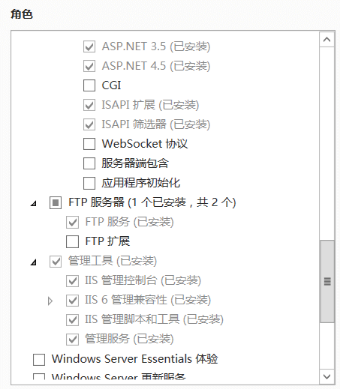 IIS服务器发布ASP.NET项目_部署_11