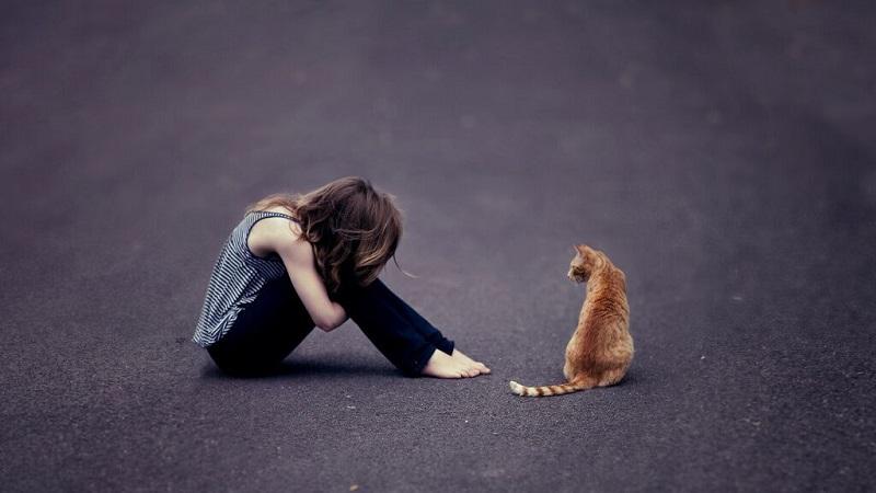 datetimepicker设置时间跨度一个月对于微信朋友圈一个