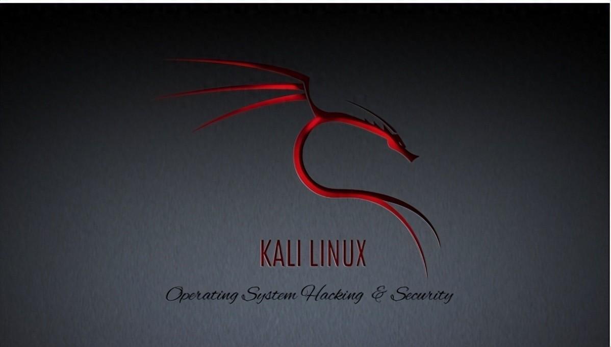 网络安全专家,道德黑客,蓝队和红队通常在自己的"武器库"中收藏着一