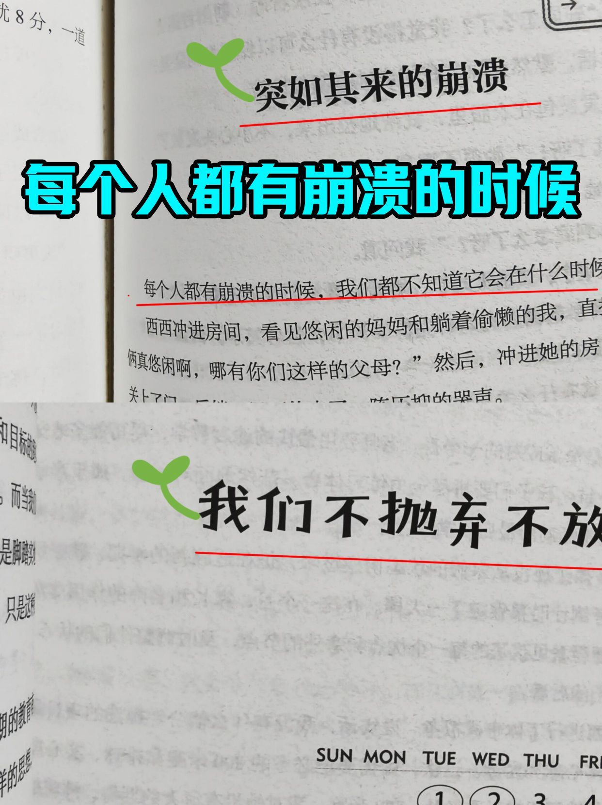 a2a2d8c225af5a59b38a458da8b60f75.jpeg