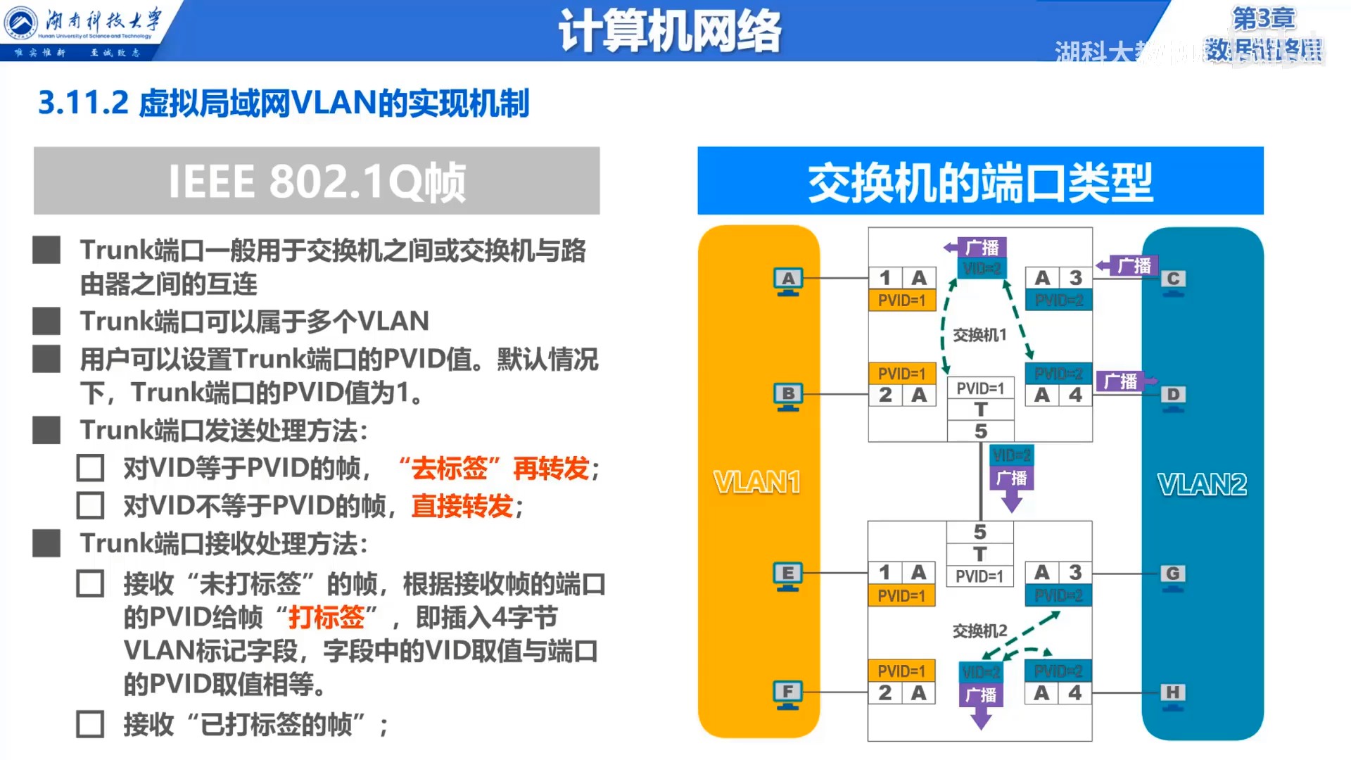 Trunk端口.jpg