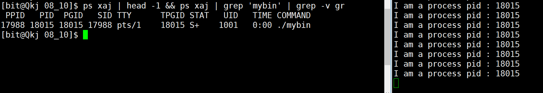 image-20220810135328481