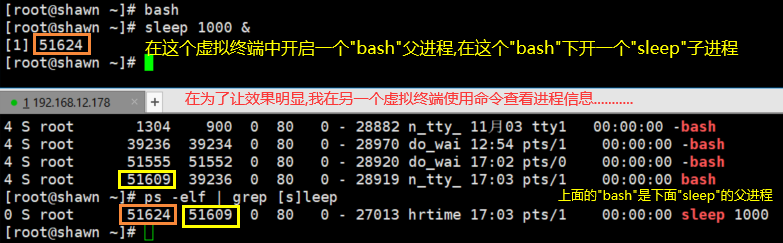 孤儿进程bash和sleep演示