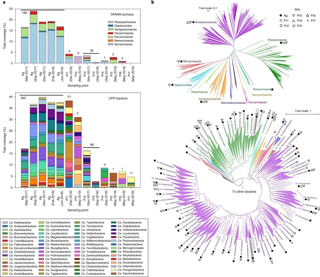 Nature 子刊：加州大学Banfield组揭示CPR细菌和DPANN古菌多样性及与低温TEM下宿主互作关系...基因组水平解析的宏基因组学揭示了地下水生态系统中附生性CPR细菌和DPANN古菌的位点特异性多样性