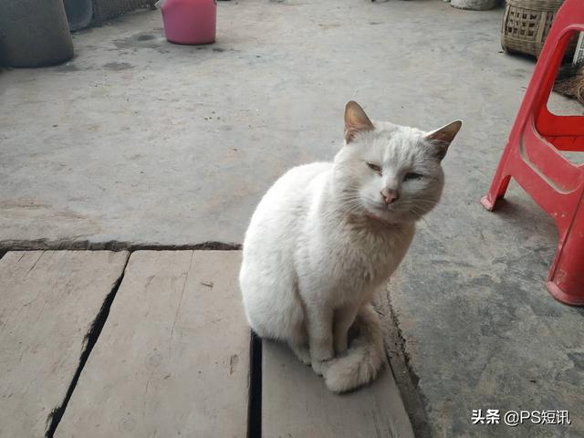 deepnode处理过的图片教你用ps快速修复图片脏乱和瑕疵快来一起学习吧