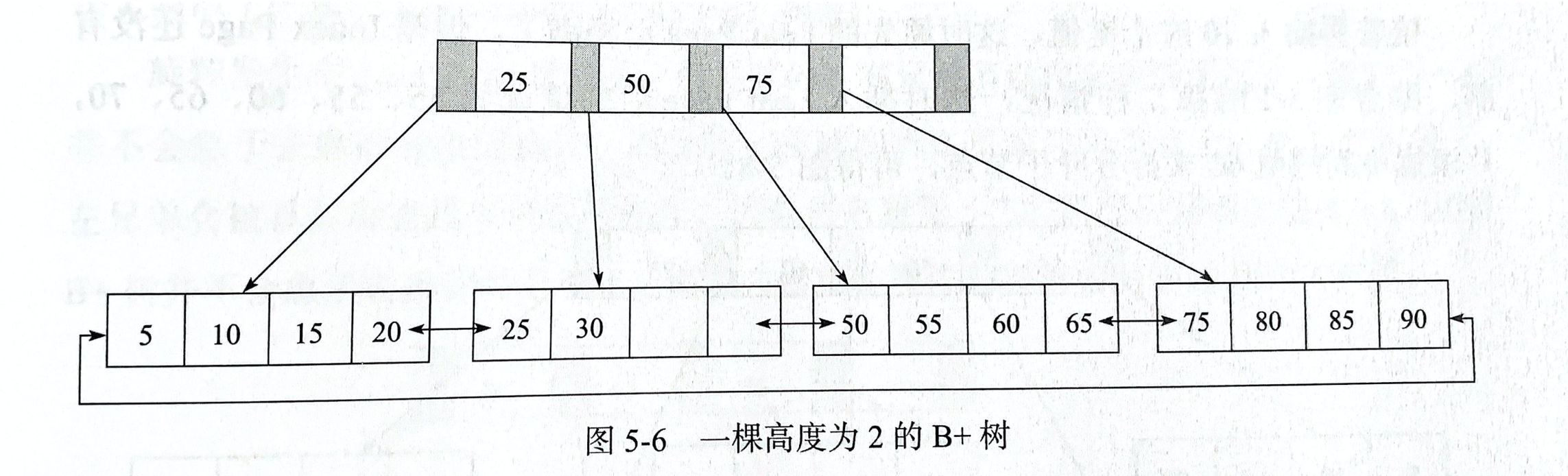 B+Tree-UgFQjS