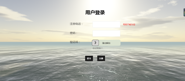 image-20210306232426704