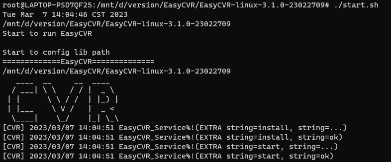 AI视频融合平台EasyCVR升级版本后启动异常的分析与解决