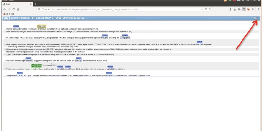 NLP标注工具Brat的简单使用