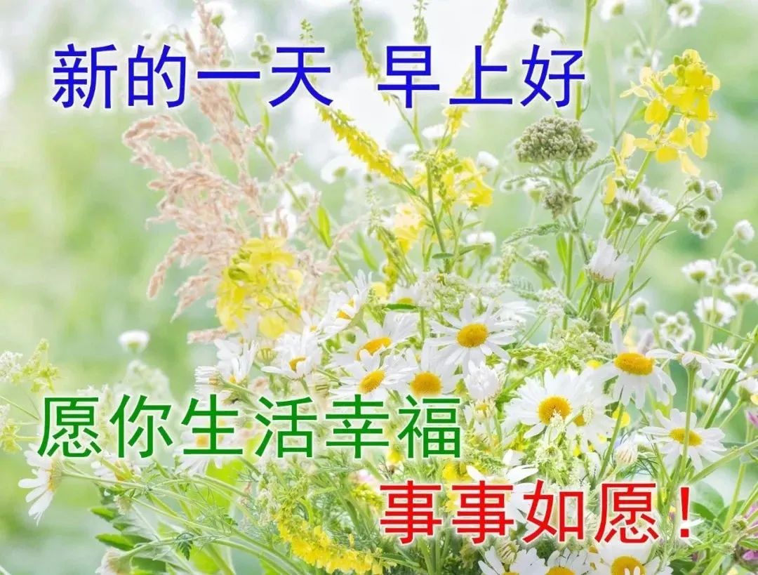 今天最新早上好问候语，清晨阳光暖心的早安问候语录