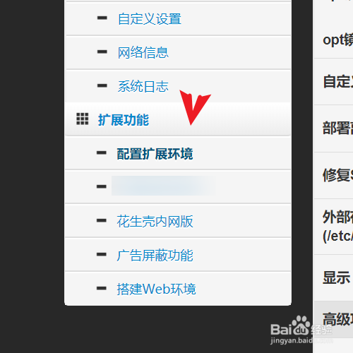 padavan路由器怎样把opt挂载到U盘？