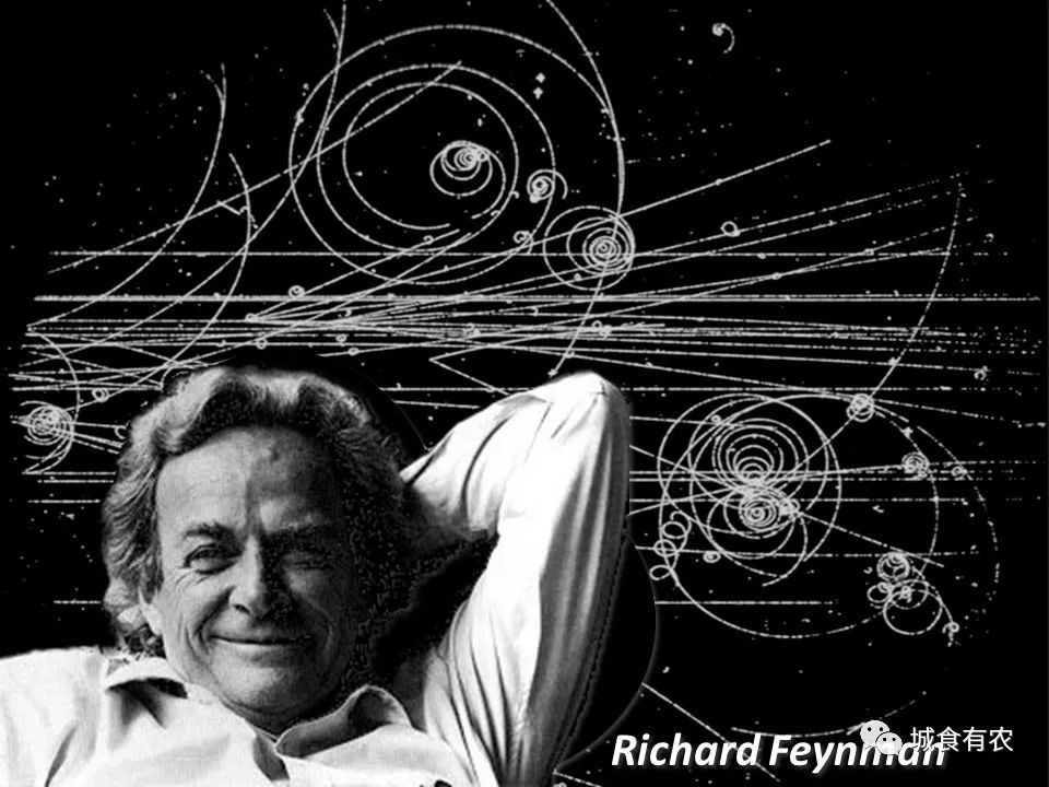 开创性工作而获得诺贝尔奖的已故理论物理学家,理查德·费曼(richard