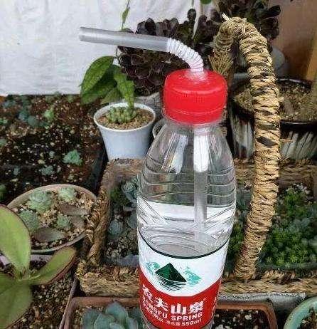 小孔怎么用_矿泉水瓶别再扔了,种花,保温都能用,有些用法估计你都想不